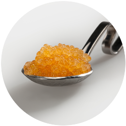 Whitefish roe