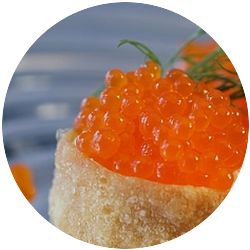 Salmon Roe