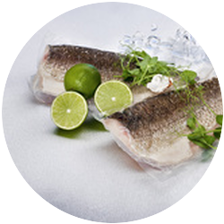 IQF whitefish fillet