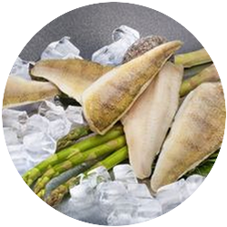 IQF FISH FILLETS